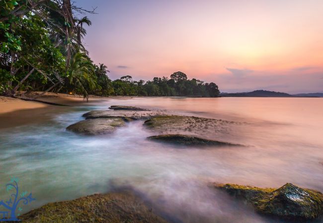 Villa en Punta Uva - Luxury Villa Macaw Pool House with Ocean Views  Villa en Punta Uva - Luxury Villa Macaw Pool House with Ocean Views