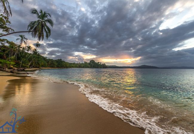 Villa en Punta Uva - Luxury Villa Macaw Pool House with Ocean Views  Villa en Punta Uva - Luxury Villa Macaw Pool House with Ocean Views