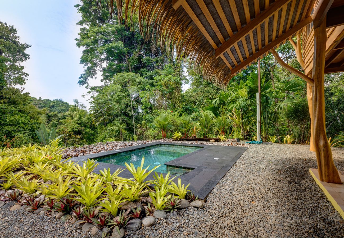 Casa en Playa Chiquita -  Canopy Pool House con FibraOp y Vistas Naturales (4X4 necesario)