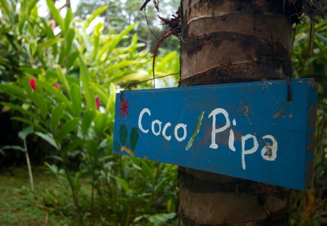 Villa en Punta Uva - Big Tree Wildlife Refuge Retreat Center con Piscina Villa en Punta Uva - Big Tree Wildlife Refuge Retreat Center con Piscina