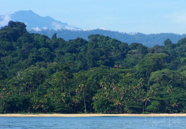 Villa en Punta Uva - Big Tree Wildlife Refuge Retreat Center con Piscina Villa en Punta Uva - Big Tree Wildlife Refuge Retreat Center con Piscina