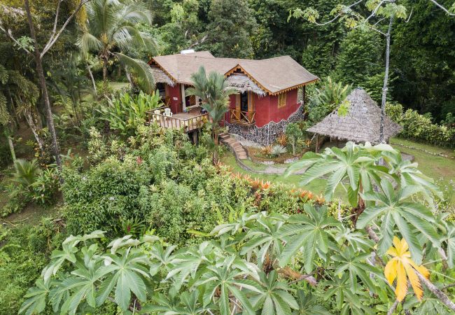 Villa en Punta Uva - Big Tree Wildlife Refuge Retreat Center con Piscina Villa en Punta Uva - Big Tree Wildlife Refuge Retreat Center con Piscina