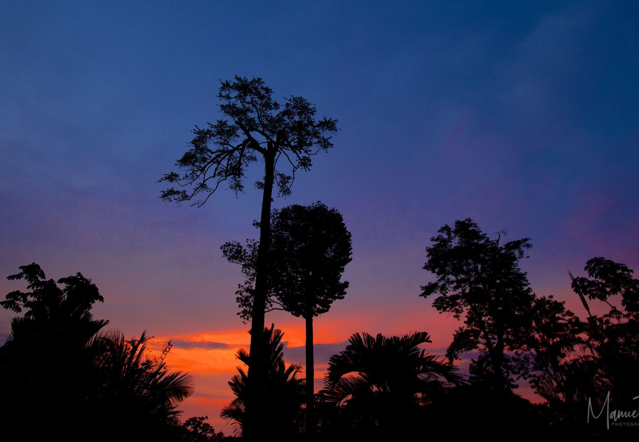 Villa en Punta Uva - Big Tree Retiro para Familias 