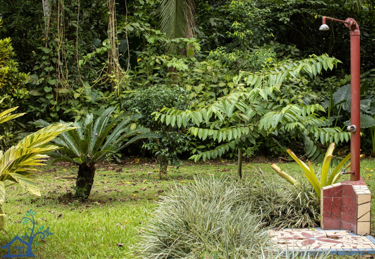 Casa en Puerto Viejo - Casa Mambo Pool House cerca del Pueblo