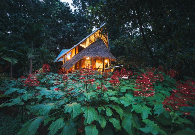 Casa en Playa Chiquita - The Beach House at Tree House Lodge