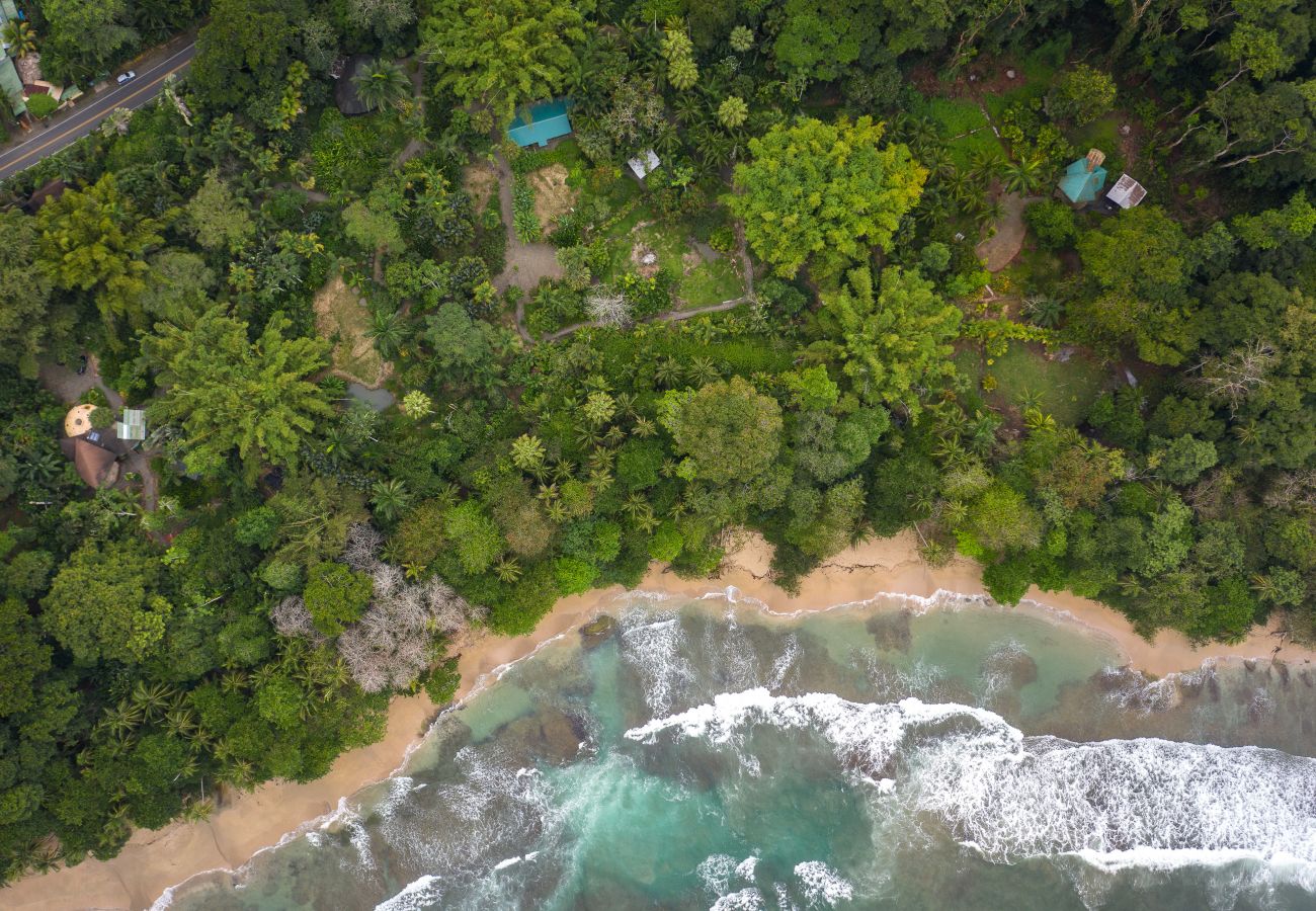 Casa en Playa Chiquita - The Garden House at Tree House Lodge