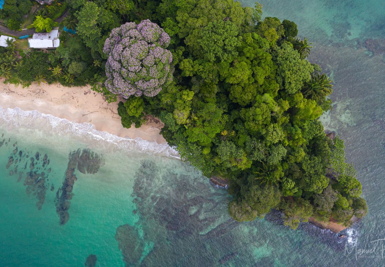 Casa en Punta Uva - El Refugio - Escondite de Lujo en el Corazón de la Naturaleza