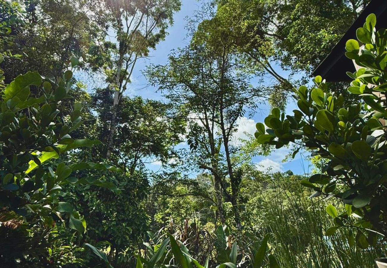 Cabaña en Paraíso - Casa Selva Negra 2 hab  rodeada de naturaleza