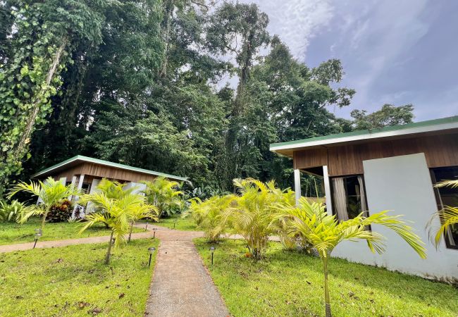 Bungalow en Puerto Viejo - Ola Jungla • 3 min de la playa/centro! AC, TV, WiFi rápido Bungalow en Puerto Viejo - Ola Jungla • 3 min de la playa/centro! AC, TV, WiFi rápido