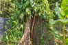Villa en Puerto Viejo - Hidden Oasis-Private Pool-A/C-Walk to Playa Negra