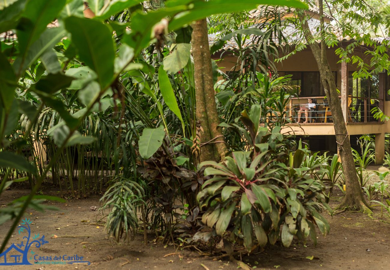 Maison à Cocles - Casa Koda Jungle & Beachfront Home