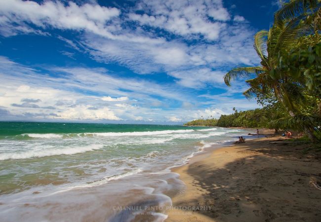 Maison à Punta Uva - Our Bungalow Punta Uva • 3BR Beachfront with A/C  Maison à Punta Uva - Our Bungalow Punta Uva • 3BR Beachfront with A/C