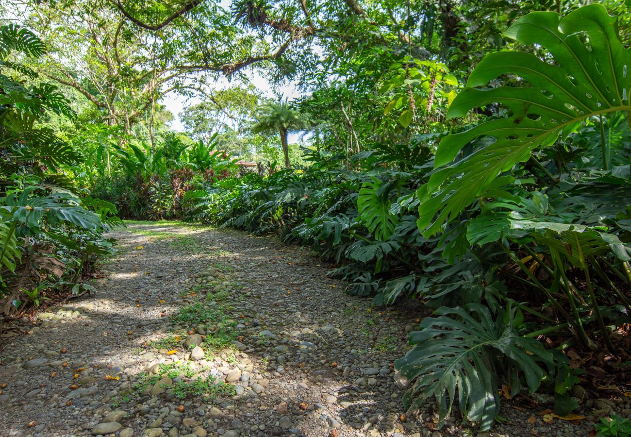 Villa à Playa Chiquita - Luxury Beachfront Villa Miagoa with AC And POOL