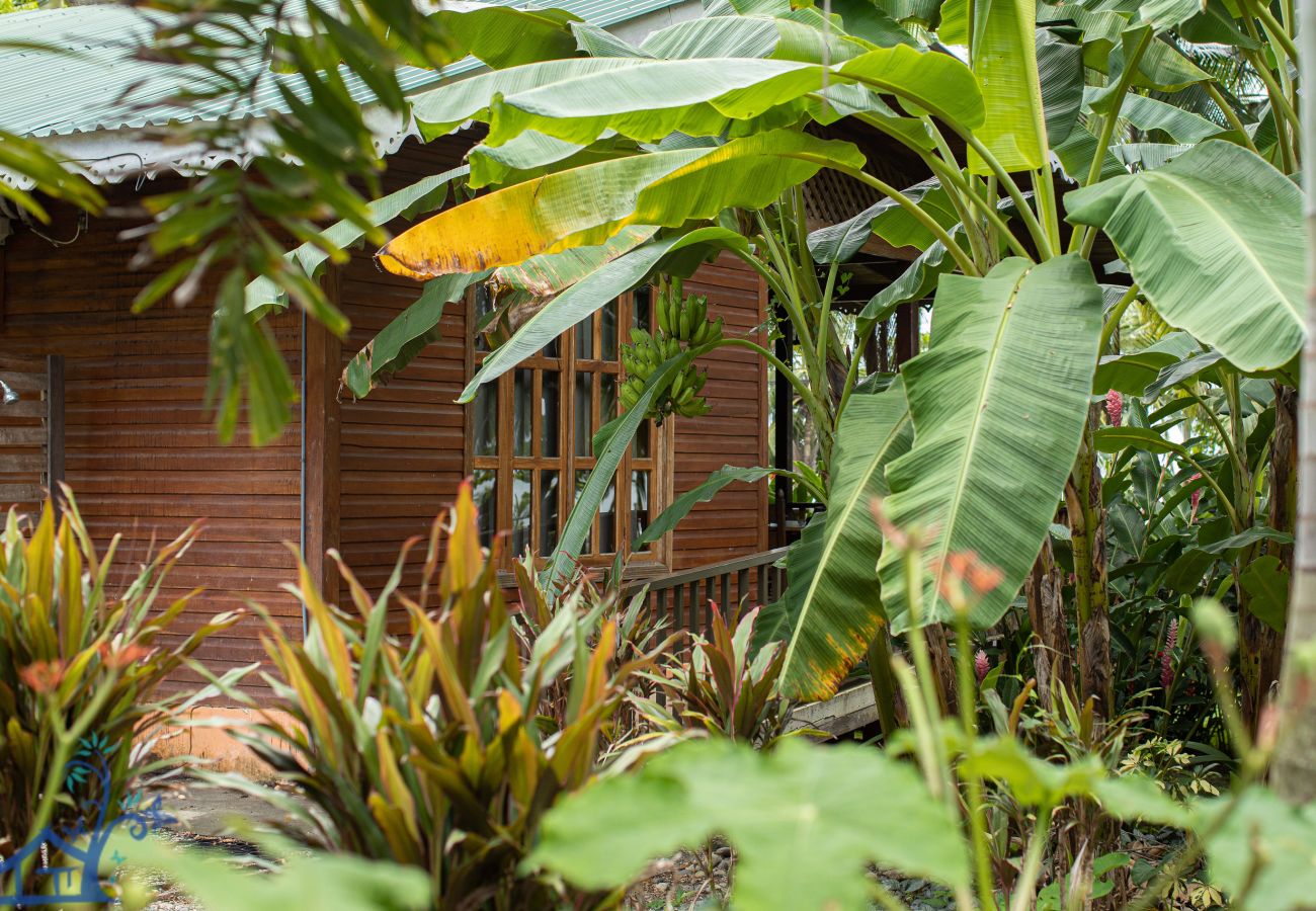 Maison à Puerto Viejo - Beachfront Villa Starfish with AC & Pool