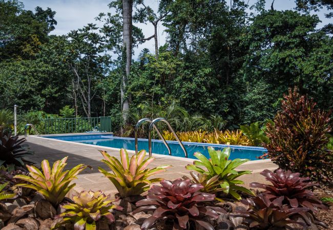 Maison à Punta Uva - Panorama Verde Poolside Jungle Oasis
