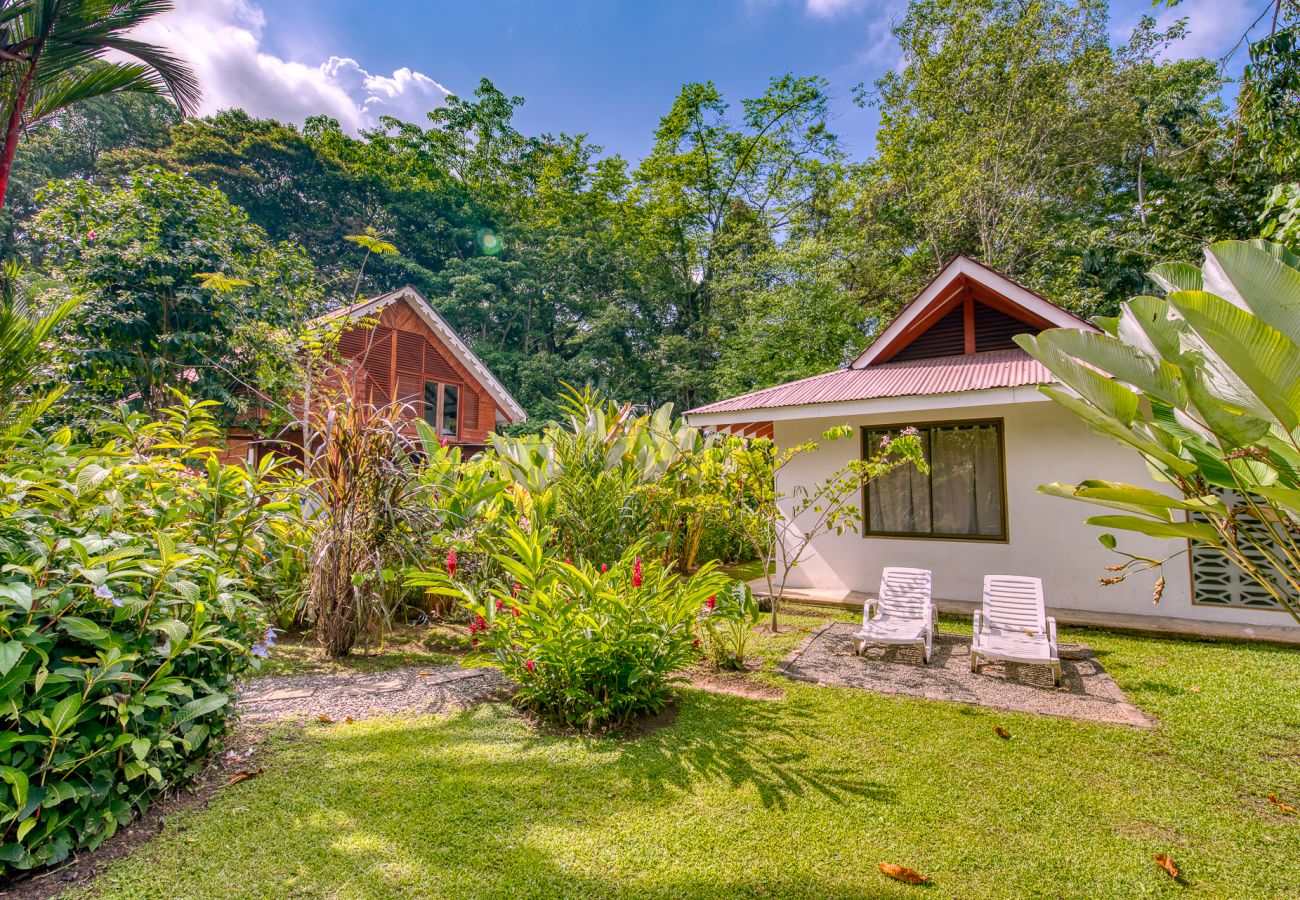 Villa à Puerto Viejo - Tropy Bungalow with Pool and FiberOp