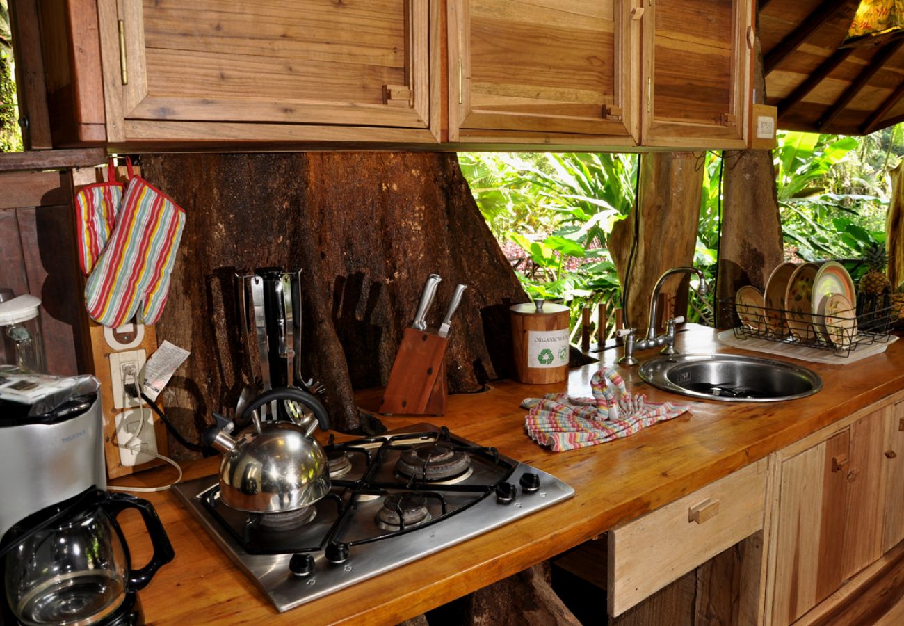 Maison à Playa Chiquita - The Tree House at Tree House Lodge