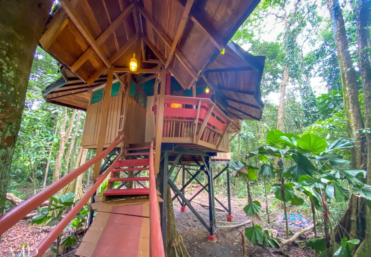 Maison à Playa Chiquita - The Tree House at Tree House Lodge