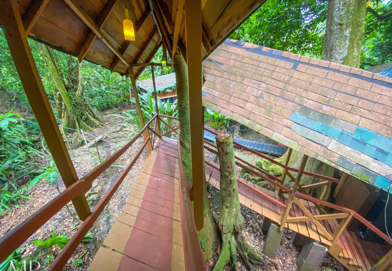 Maison à Playa Chiquita - The Tree House at Tree House Lodge