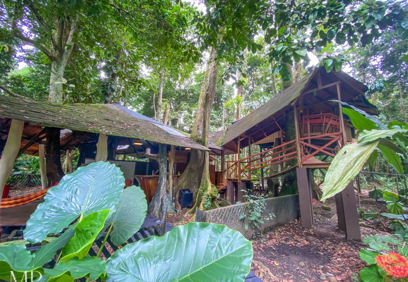 Maison à Playa Chiquita - The Tree House at Tree House Lodge