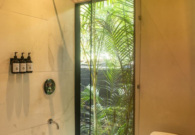 Appartement à Manzanillo - Kañik ApartHotel - Deluxe Room Appartement à Manzanillo - Kañik ApartHotel - Deluxe Room