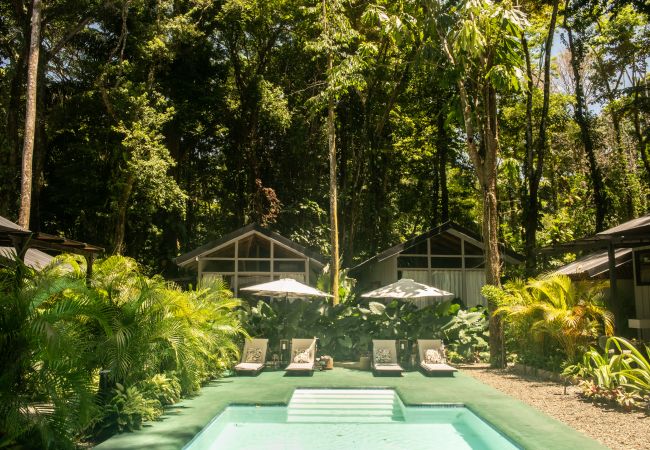 Appartement à Manzanillo - Kañik ApartHotel - Deluxe Room Appartement à Manzanillo - Kañik ApartHotel - Deluxe Room