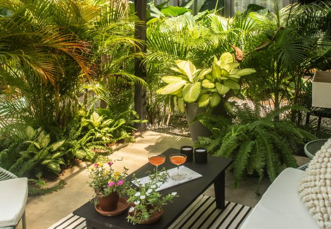 Appartement à Manzanillo - Kañik ApartHotel - Deluxe Room Appartement à Manzanillo - Kañik ApartHotel - Deluxe Room