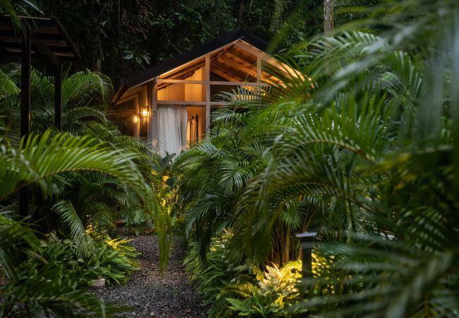 Appartement à Manzanillo - Kañik ApartHotel - Deluxe Room Appartement à Manzanillo - Kañik ApartHotel - Deluxe Room