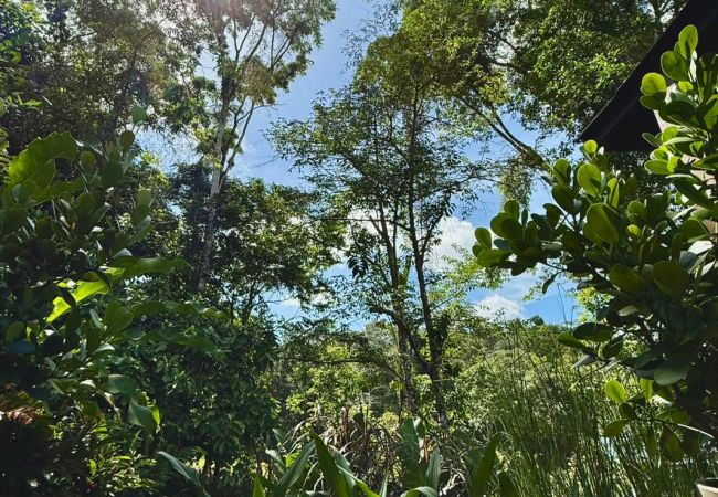 Maison à Paraíso - Casa Selva Negra Maison à Paraíso - Casa Selva Negra