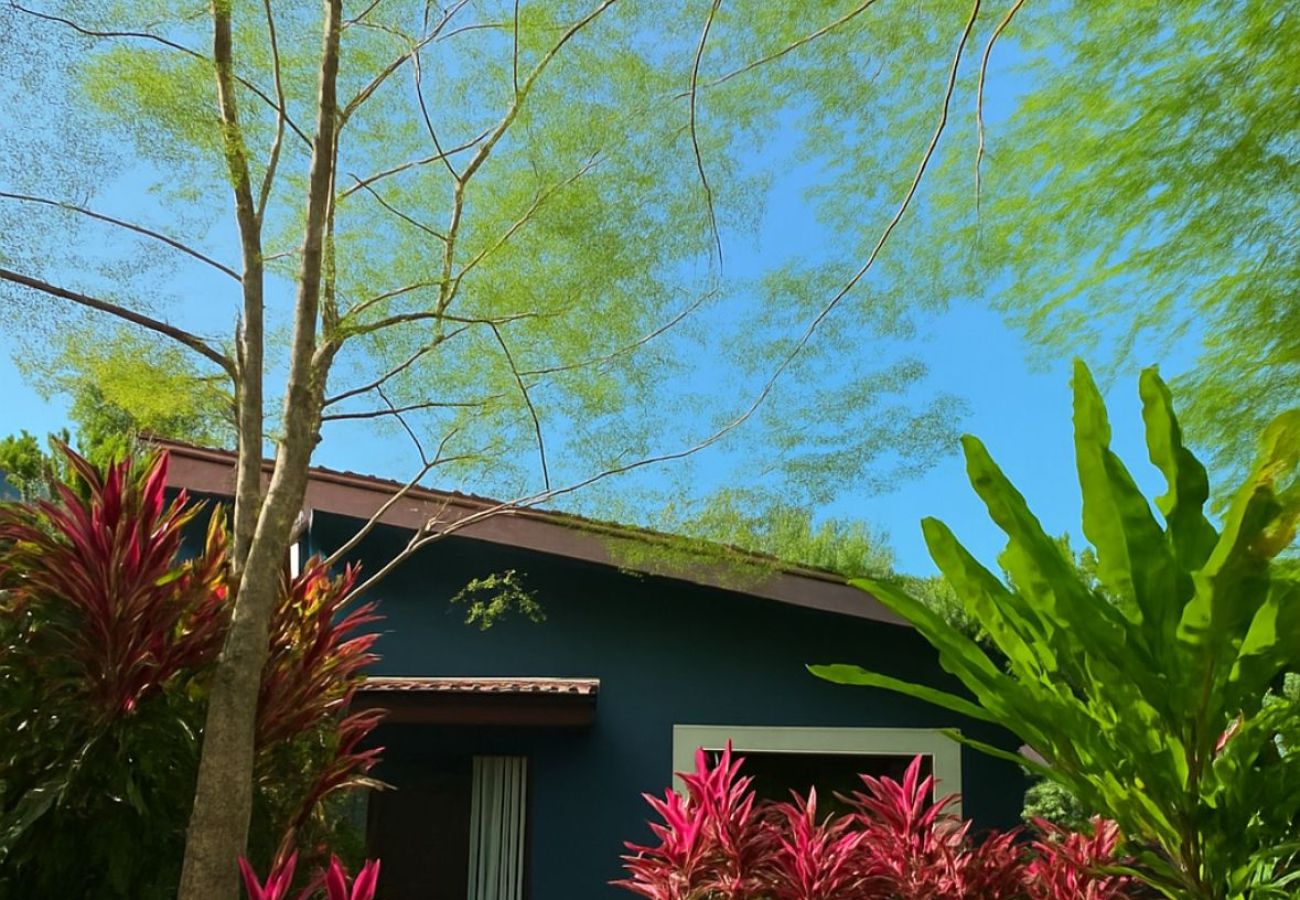 Villa à Puerto Viejo - Casa Kobu Pool House