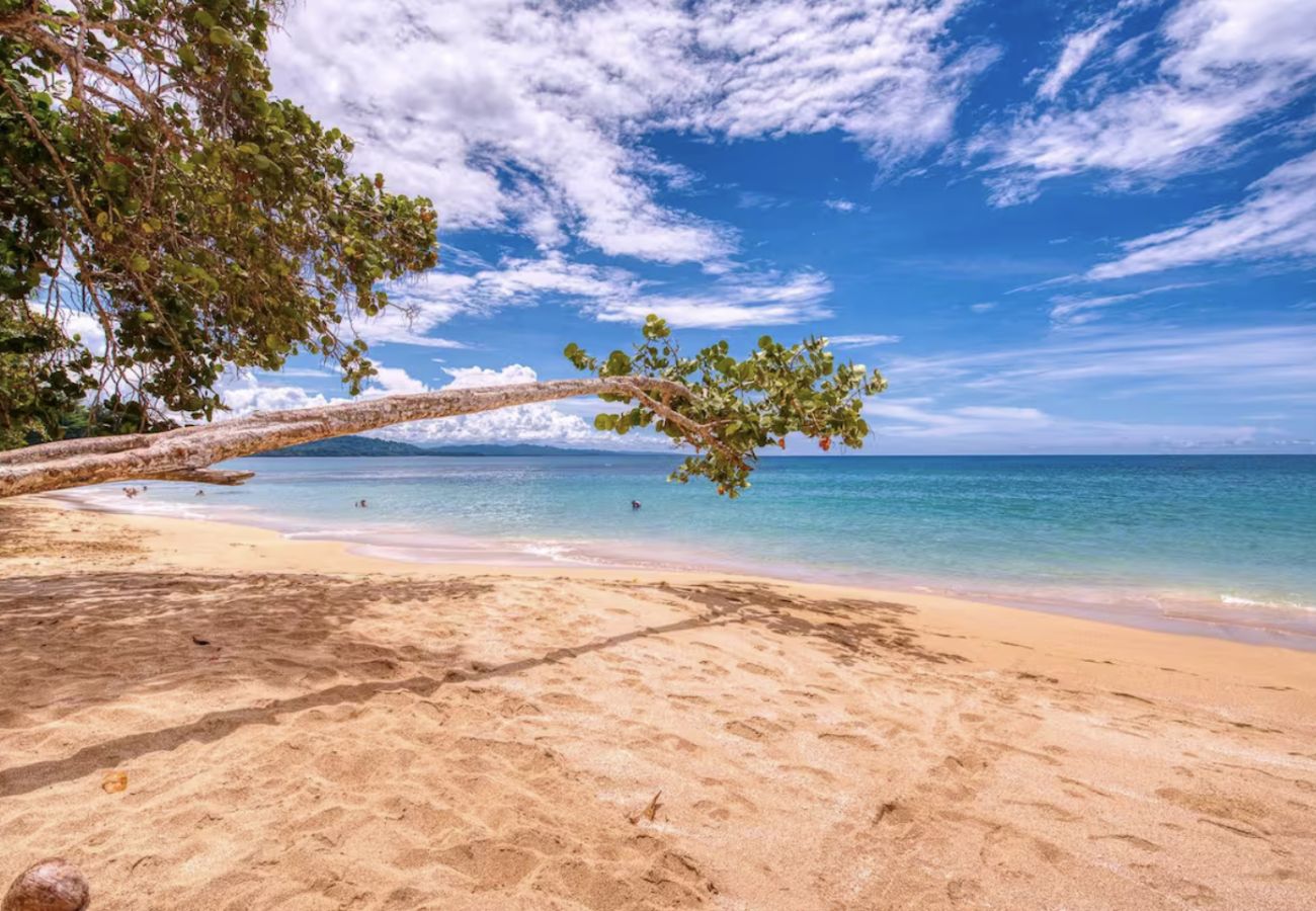 Villa à Punta Uva - TP- Tucan | Beachfront Arrecife, Wifi, AC 