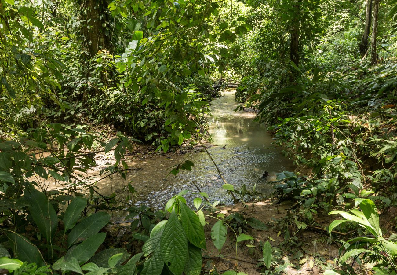 Parcelle à Cocles - SOLD - Margarita by the Riverside