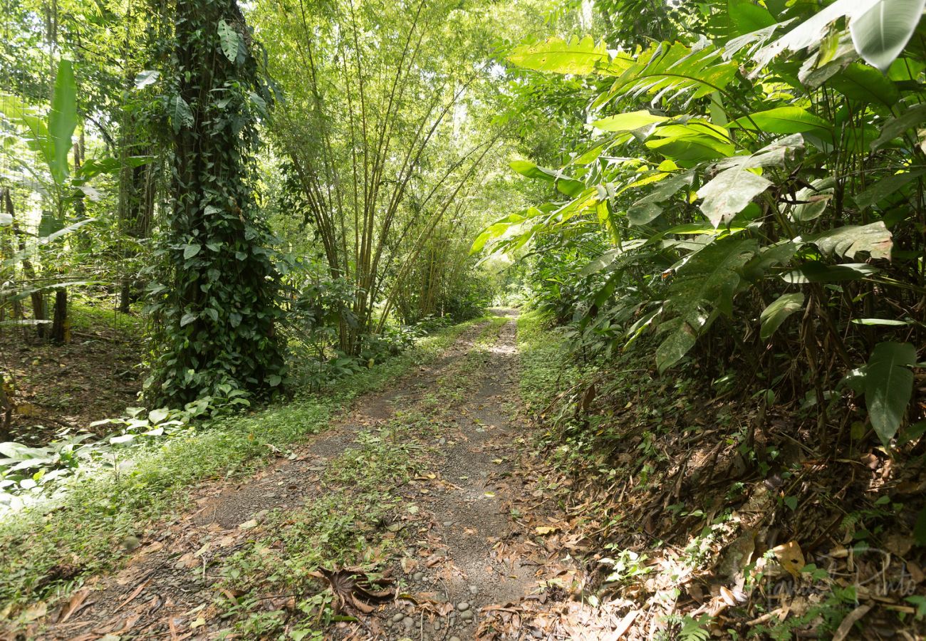 Plot in Cocles - SOLD - Margarita by the Riverside