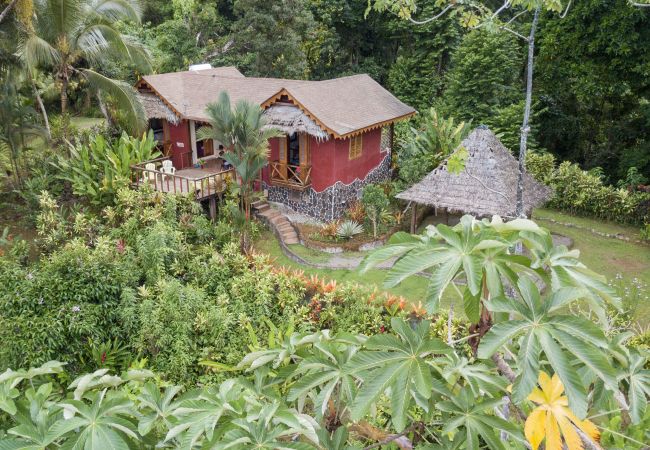 Villa in Punta Uva - Villa Toucan - Romantic Oceanview Paradise with FibOp Internet Villa in Punta Uva - Villa Toucan - Romantic Oceanview Paradise with FibOp Internet