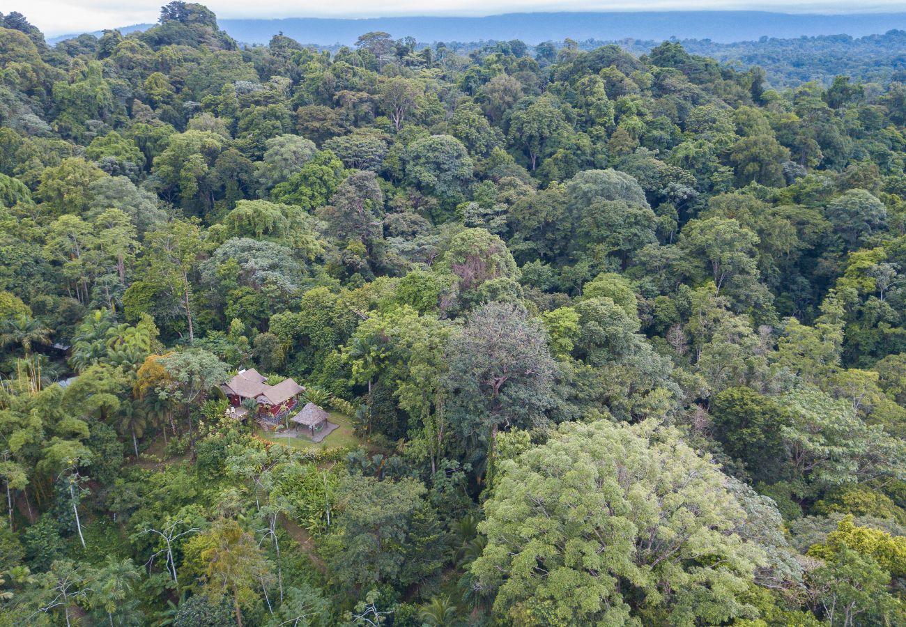 Villa in Punta Uva - Villa Toucan - Romantic Birdwatching Paradise with Fiber Optic Internet
