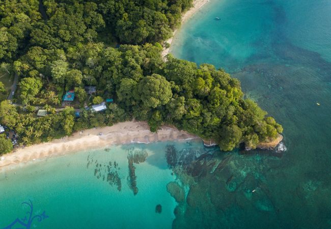 Villa in Punta Uva - Luxury Villa Macaw Pool House with Ocean Views  Villa in Punta Uva - Luxury Villa Macaw Pool House with Ocean Views