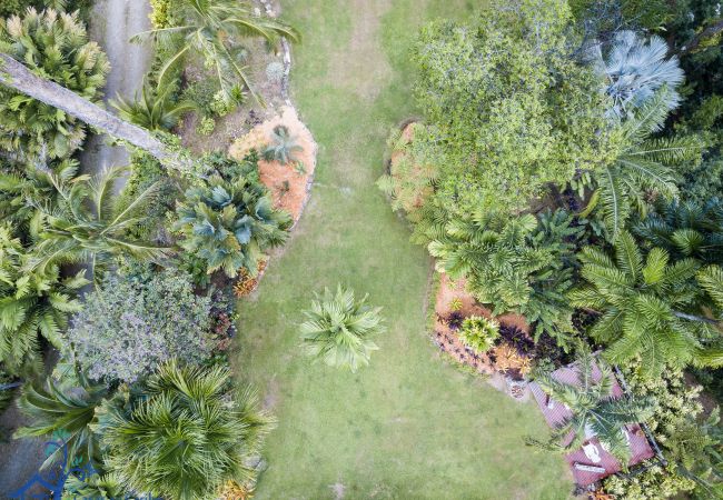 Villa in Punta Uva - Luxury Villa Macaw Pool House with Ocean Views  Villa in Punta Uva - Luxury Villa Macaw Pool House with Ocean Views