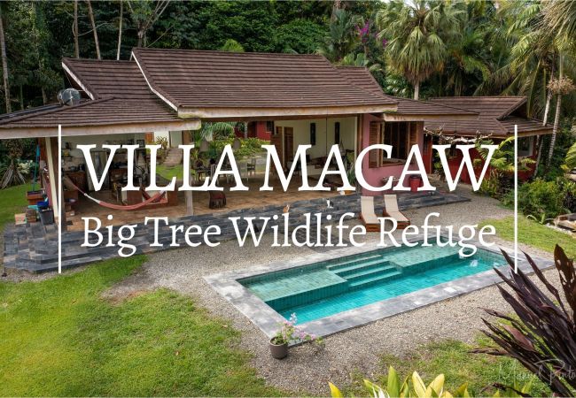 Villa/Dettached house in Punta Uva - Luxury Villa Macaw Pool House with Ocean Views 