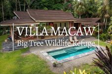 Villa in Punta Uva - Luxury Villa Macaw Pool House with...