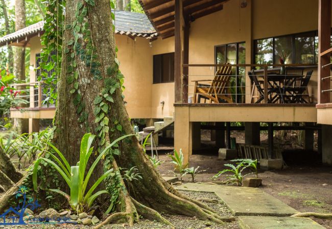 House in Cocles - Beachfront Casa Koda • 3BR • Garden & Terrace House in Cocles - Beachfront Casa Koda • 3BR • Garden & Terrace
