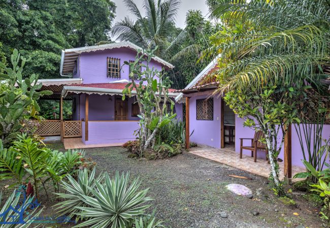 Punta Uva - House