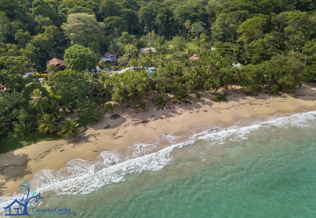House in Punta Uva - Casa Violeta • Beachfront 3BR Caribbean Home with A/C House in Punta Uva - Casa Violeta • Beachfront 3BR Caribbean Home with A/C