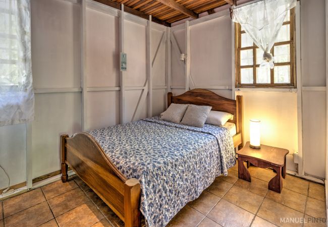 House in Punta Uva - Casa Violeta • Beachfront 3BR Caribbean Home with A/C House in Punta Uva - Casa Violeta • Beachfront 3BR Caribbean Home with A/C