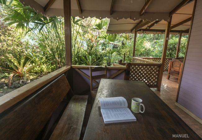 House in Punta Uva - Casa Violeta • Beachfront 3BR Caribbean Home with A/C House in Punta Uva - Casa Violeta • Beachfront 3BR Caribbean Home with A/C