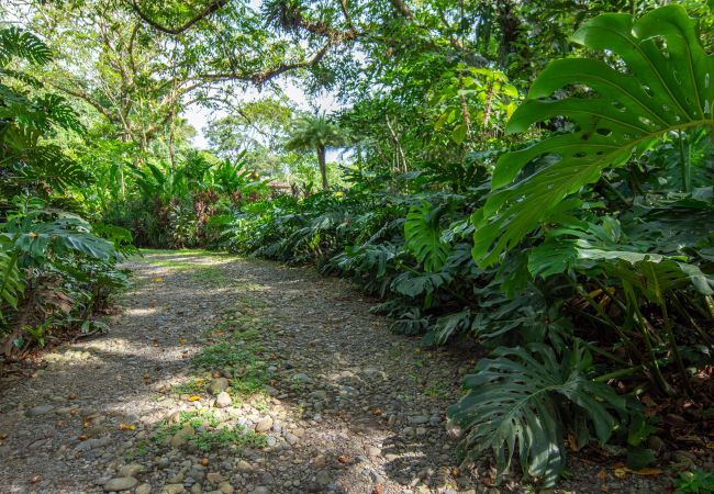 Villa in Playa Chiquita - Luxury Beachfront Villa Miagoa with AC And POOL Villa in Playa Chiquita - Luxury Beachfront Villa Miagoa with AC And POOL