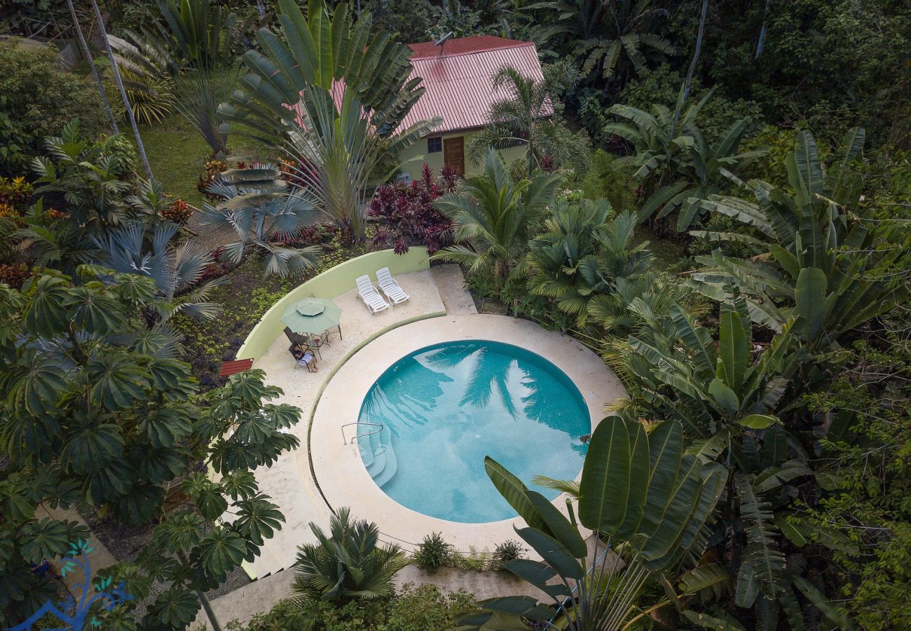 Villa in Cocles - Villas Tortola & Azulada, 2 villas with A/C, FiberOp and Pool - Adults Only