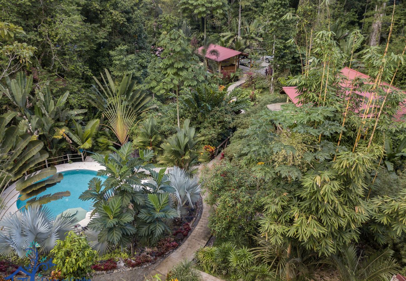 Villa in Cocles - Villas Tortola & Azulada, 2 villas with A/C, FiberOp and Pool - Adults Only