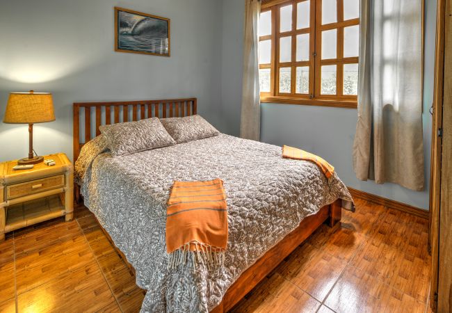 House in Puerto Viejo - Beachfront Villa Seabreeze with AC & Pool House in Puerto Viejo - Beachfront Villa Seabreeze with AC & Pool