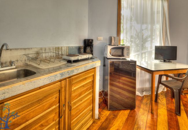 House in Puerto Viejo - Beachfront Villa Starfish with AC & Pool House in Puerto Viejo - Beachfront Villa Starfish with AC & Pool