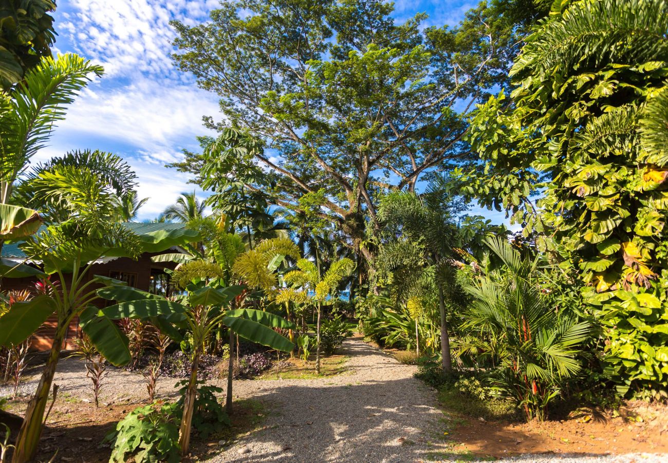 House in Puerto Viejo - Beachfront Villa Starfish with AC & Pool